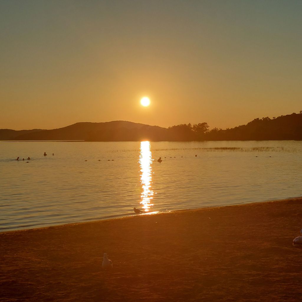 Sunset over a calm lake with silhouettes of mountains in the background, reflecting golden light on the water. Some people swim in the distance, and a seagull is seen on the sandy shore.