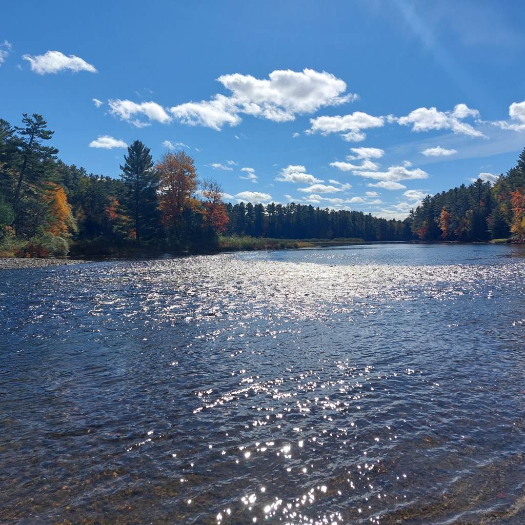 A serene view of a lake surrounded by trees under a bright blue sky with fluffy clouds, showcasing reflections on the water's surface.